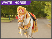 WHITEHORSE